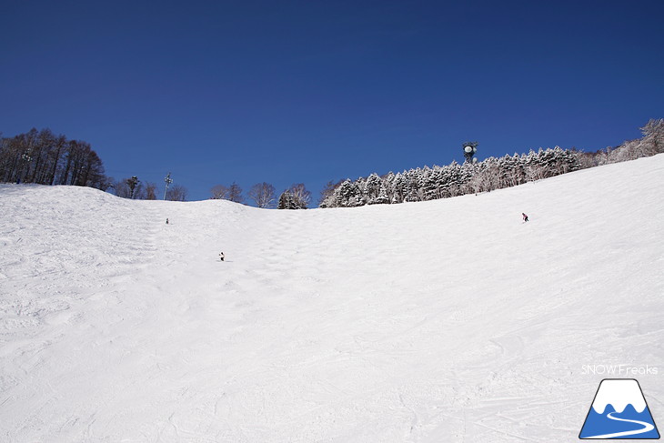 札幌藻岩山スキー場 『青空』が最高に似合うゲレンデ☆